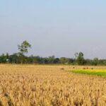 Home images (1)
